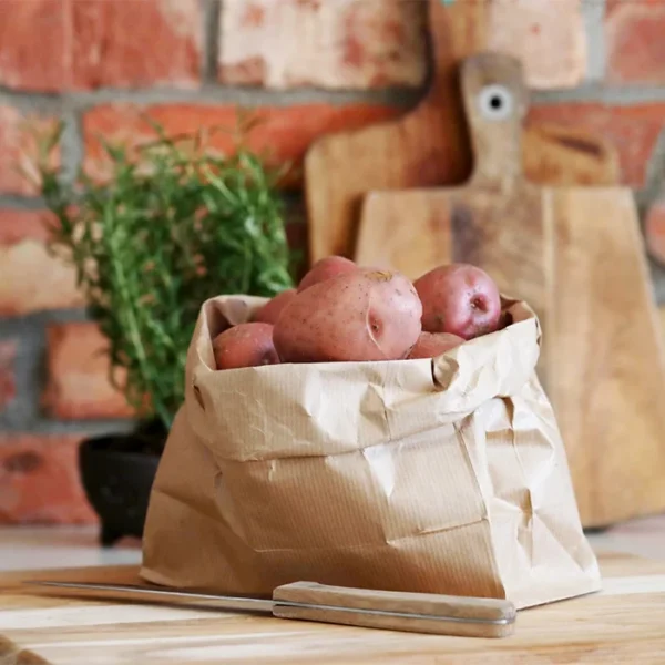 Paper Grocery Bags - Image 2