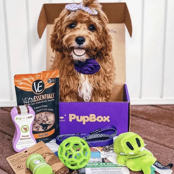 Pet Subscription Boxes - Image 6